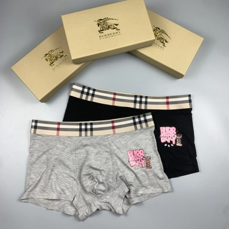 Burberry Underwear Vibrant 276513
