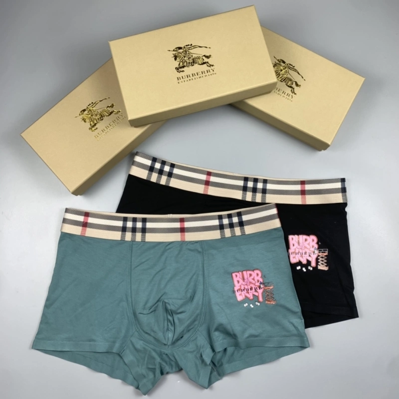 Burberry Underwear Vibrant 276513