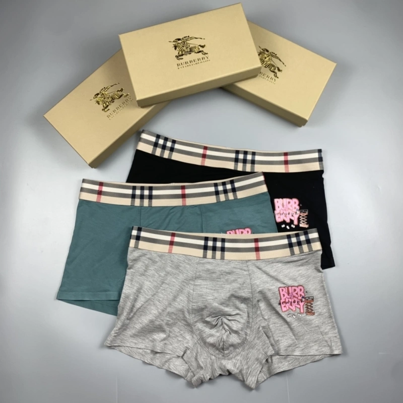 Burberry Underwear Vibrant 276513