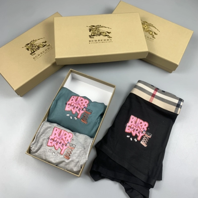 Burberry Underwear Vibrant 276513