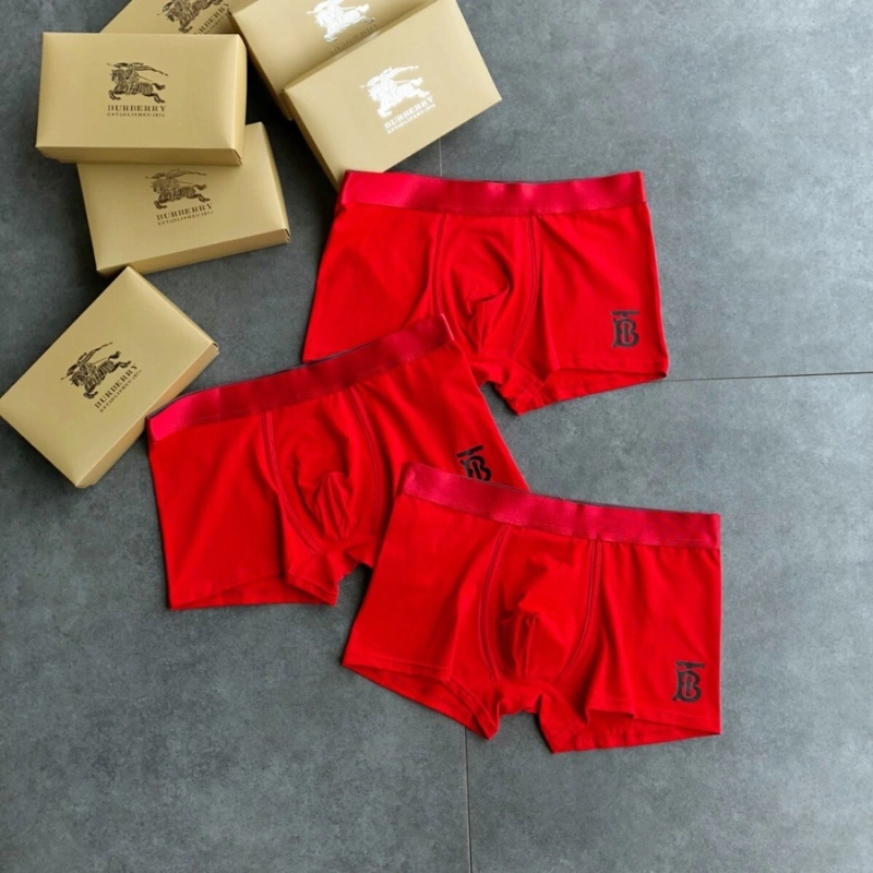 FashionForward Burberry Underwear 276512