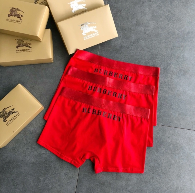 FashionForward Burberry Underwear 276512
