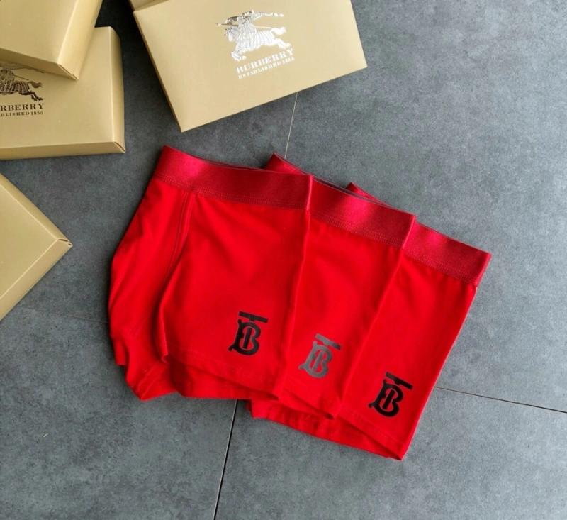 FashionForward Burberry Underwear 276512