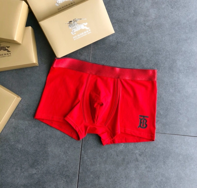 FashionForward Burberry Underwear 276512