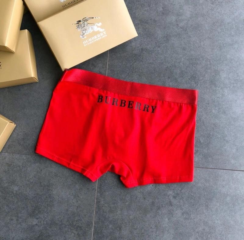FashionForward Burberry Underwear 276512
