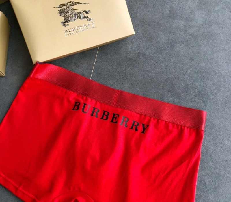 FashionForward Burberry Underwear 276512