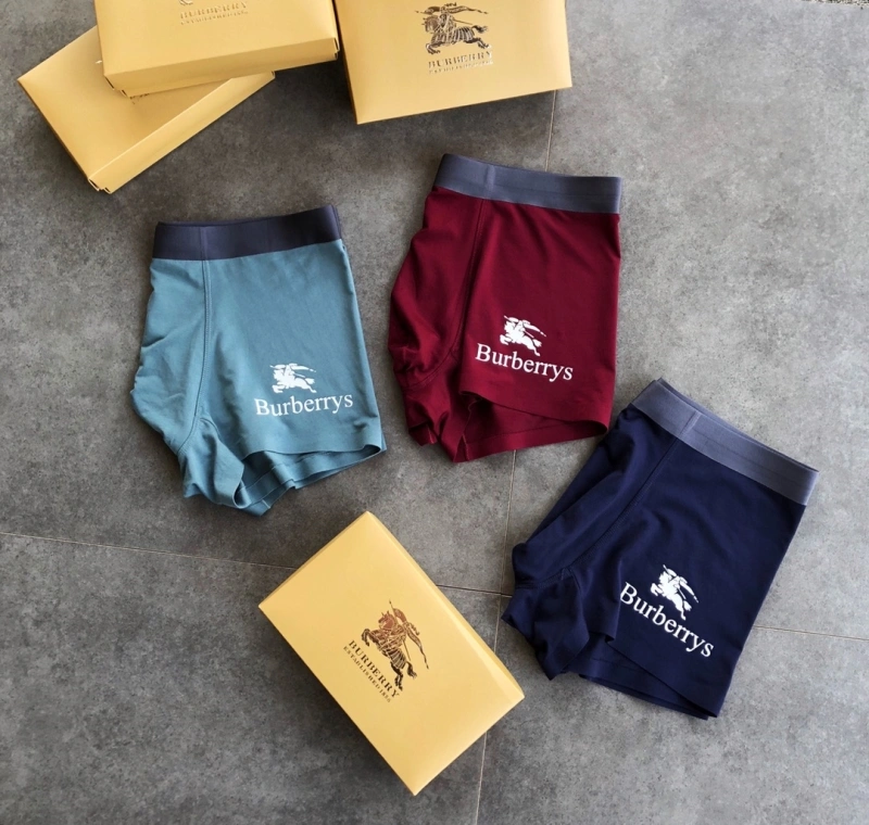 Burberry Underwear Lightweight 276515