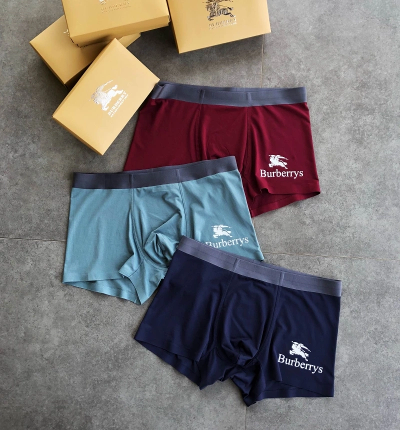 Burberry Underwear Lightweight 276515