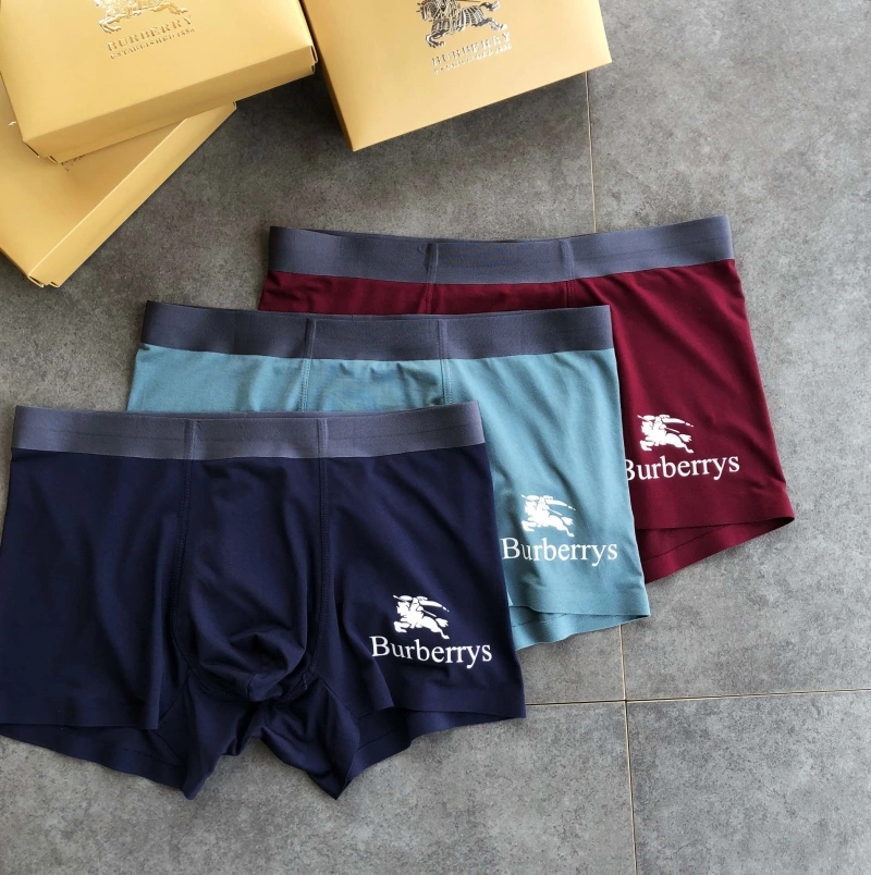 Burberry Underwear Lightweight 276515