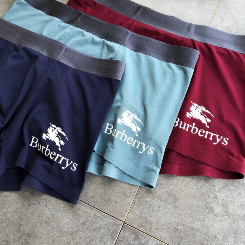 Burberry Underwear Lightweight 276515