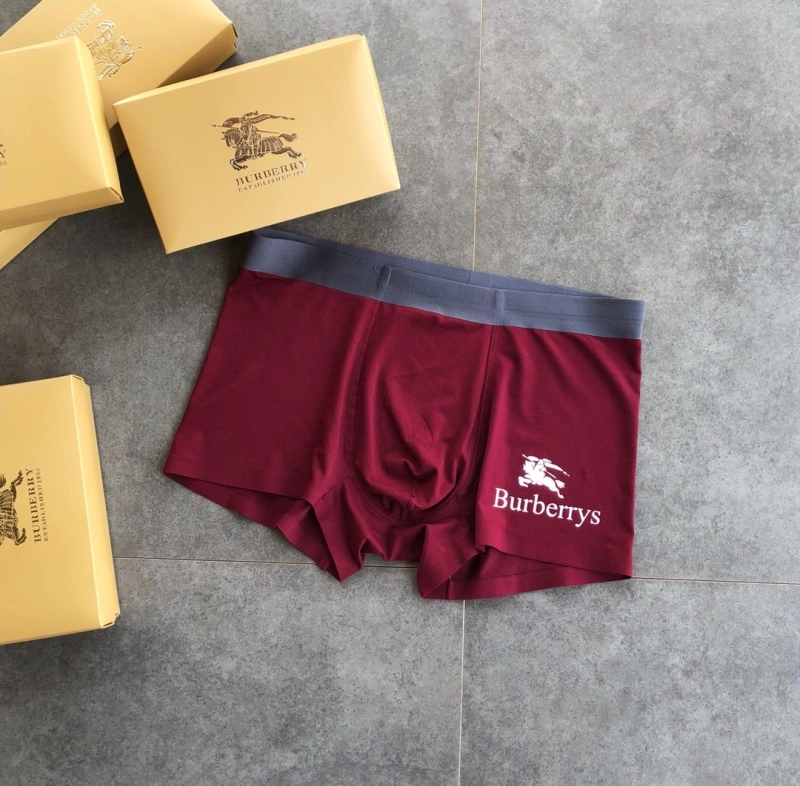 Burberry Underwear Lightweight 276515