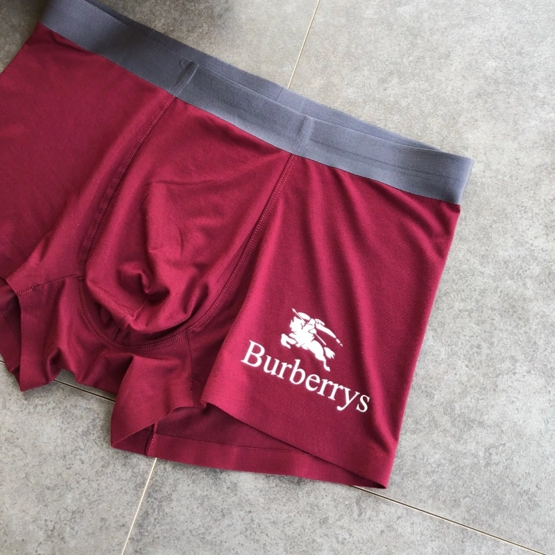 Burberry Underwear Lightweight 276515
