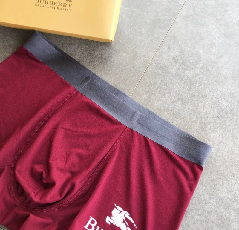 Burberry Underwear Lightweight 276515