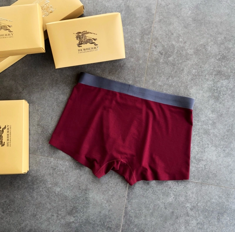 Burberry Underwear Lightweight 276515