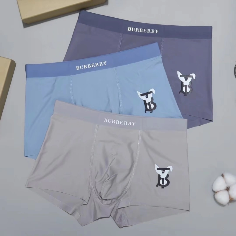 Burberry Underwear HighQuality 276514