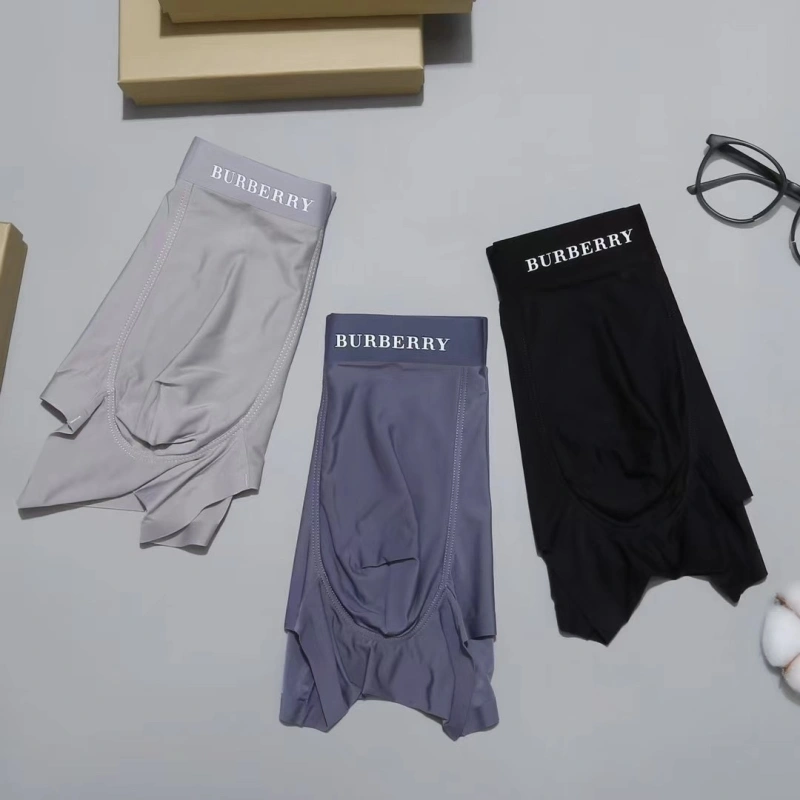Burberry Underwear HighQuality 276514