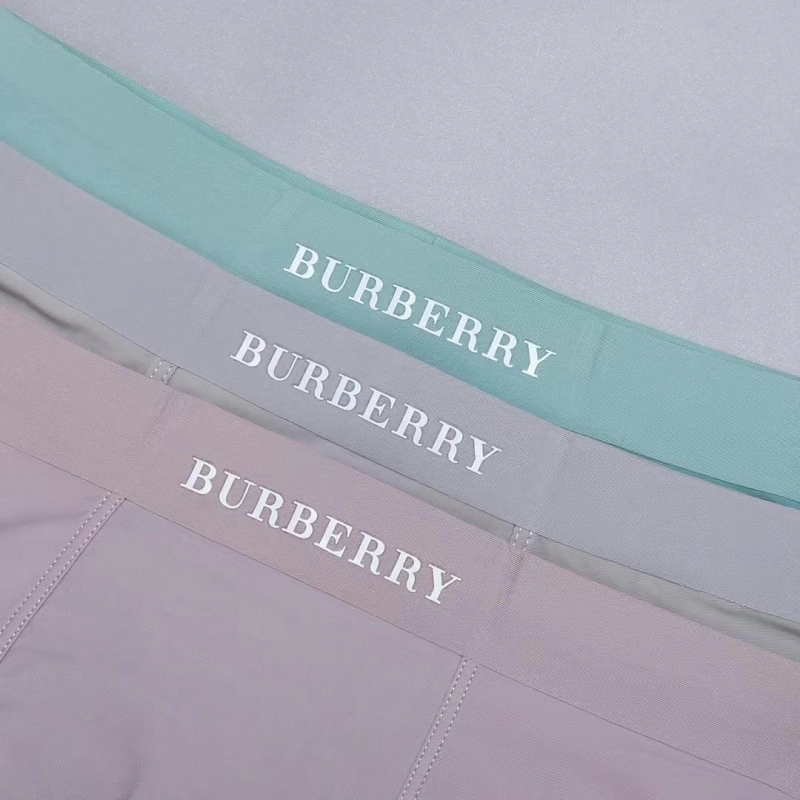 Burberry Underwear HighQuality 276514