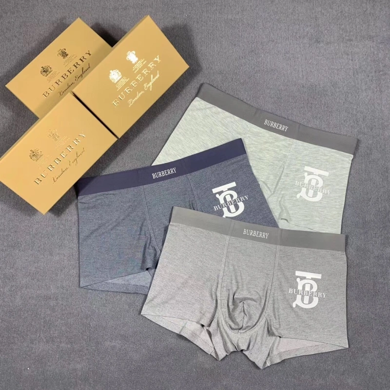 Burberry Underwear Refined 276505