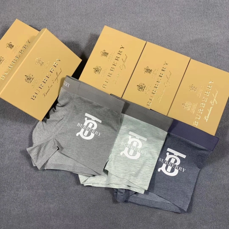 Burberry Underwear Refined 276505