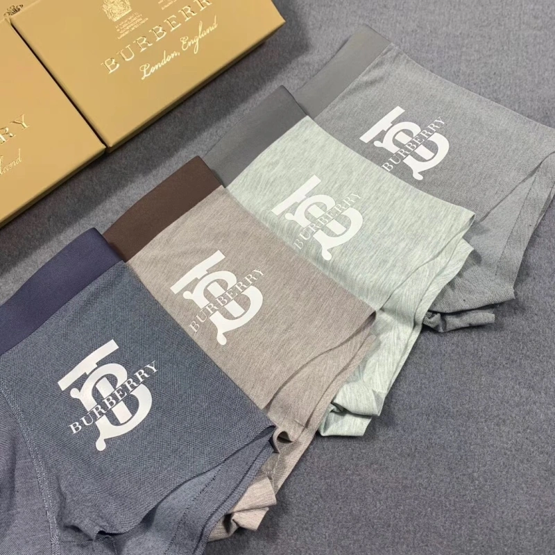 Burberry Underwear Refined 276505