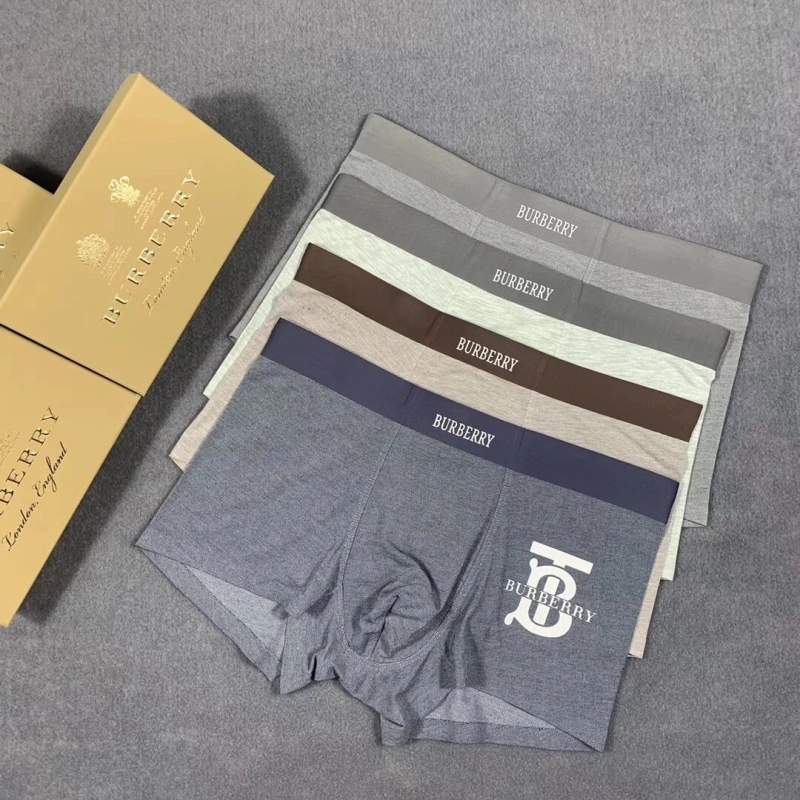 Burberry Underwear Refined 276505