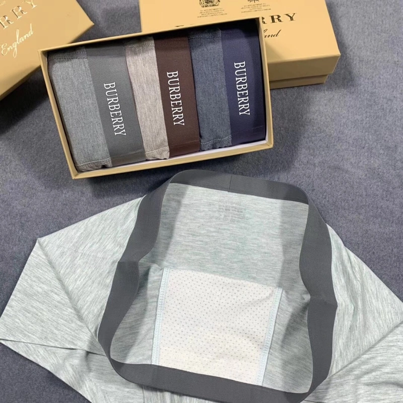 Burberry Underwear Refined 276505