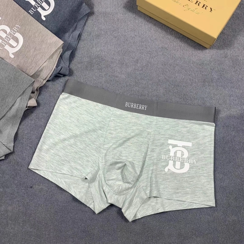 Burberry Underwear Refined 276505