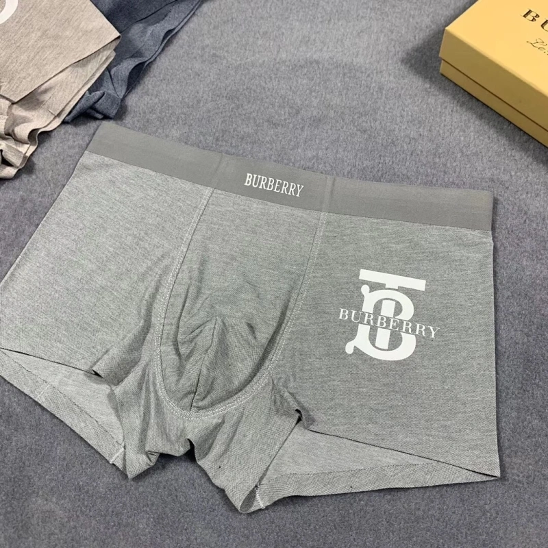 Burberry Underwear Refined 276505