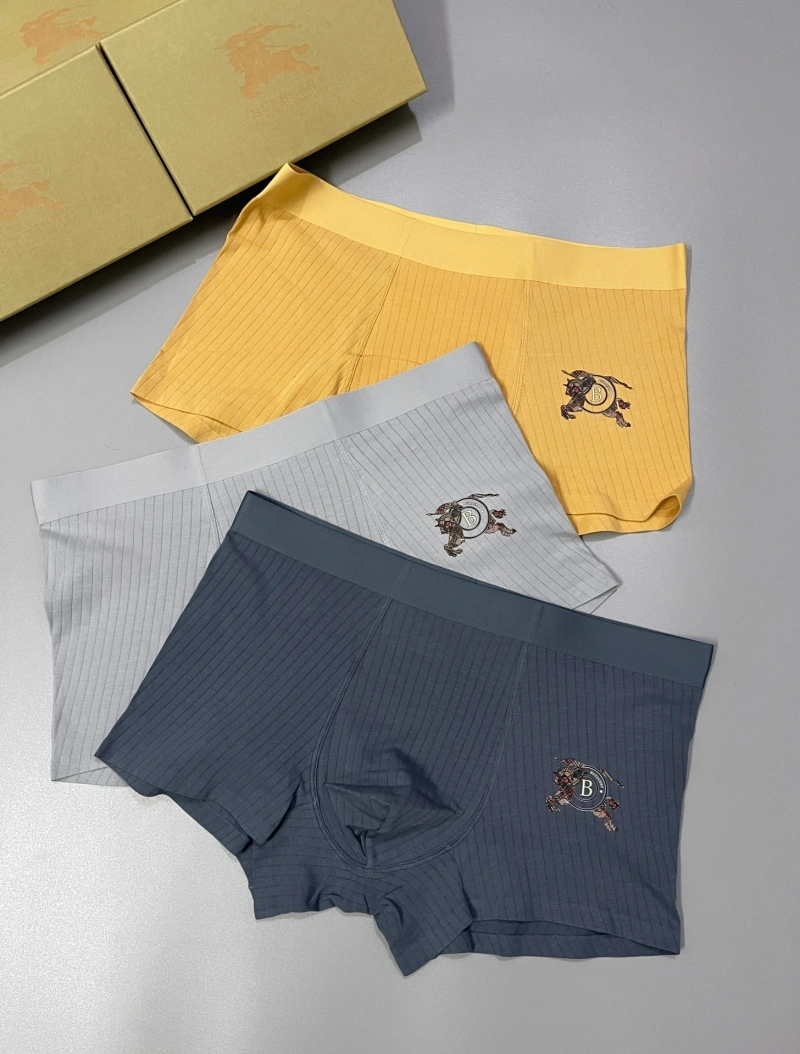 Burberry Underwear DailyWear 276502