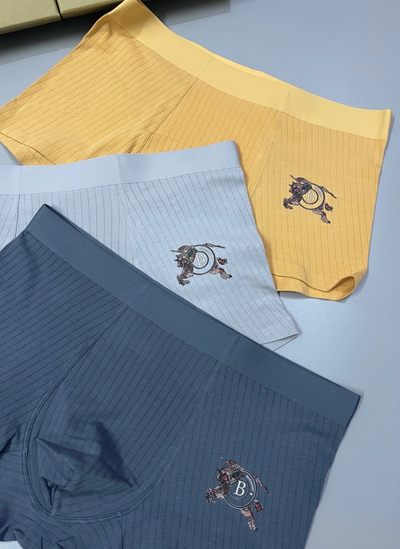 Burberry Underwear DailyWear 276502