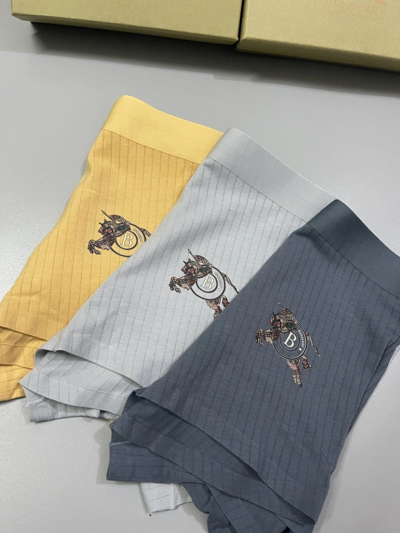 Burberry Underwear DailyWear 276502