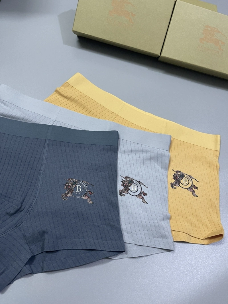 Burberry Underwear DailyWear 276502