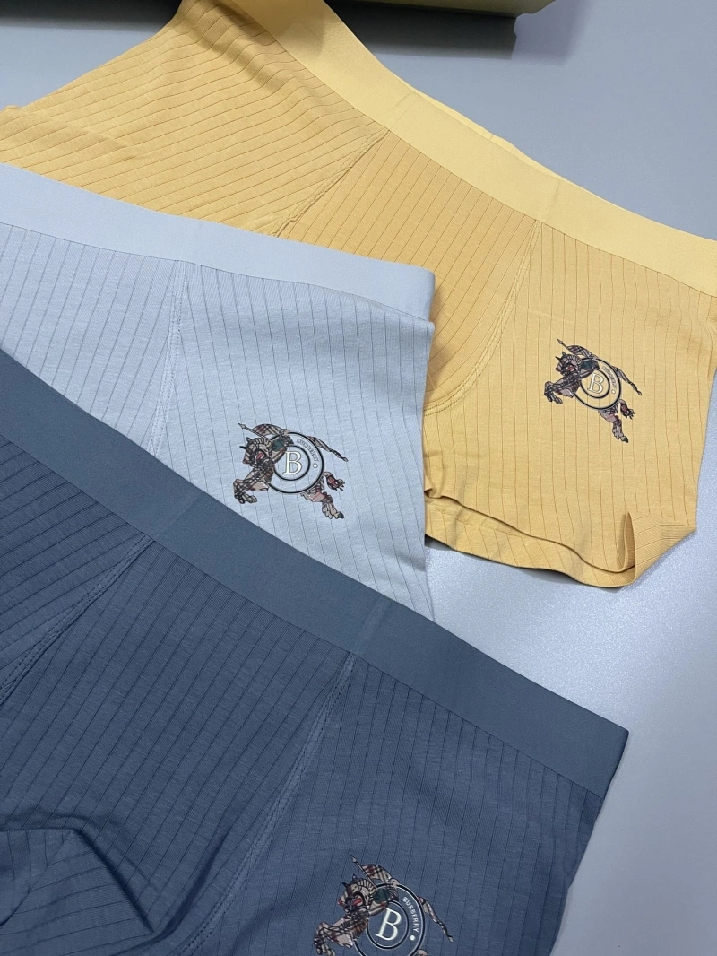 Burberry Underwear DailyWear 276502