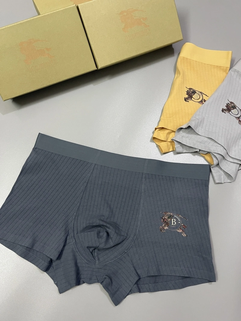 Burberry Underwear DailyWear 276502