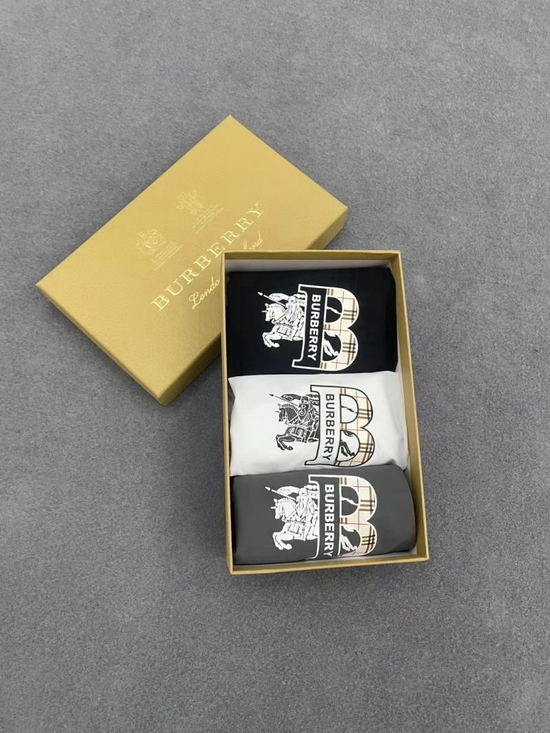 Burberry Underwear Modern 276523