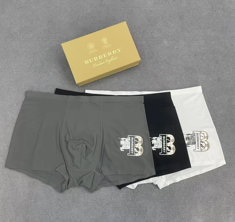 Burberry Underwear Modern 276523