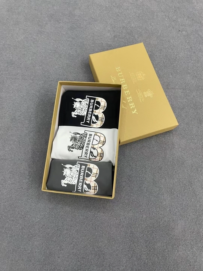 Burberry Underwear Modern 276523