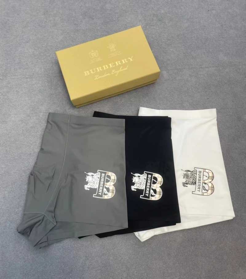 Burberry Underwear Modern 276523