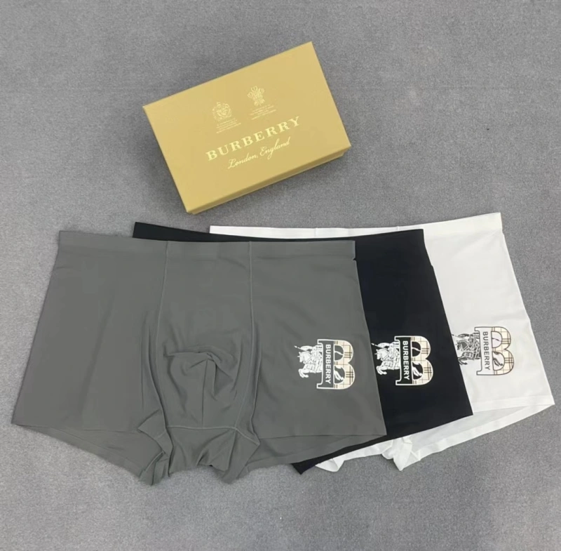 Burberry Underwear Modern 276523