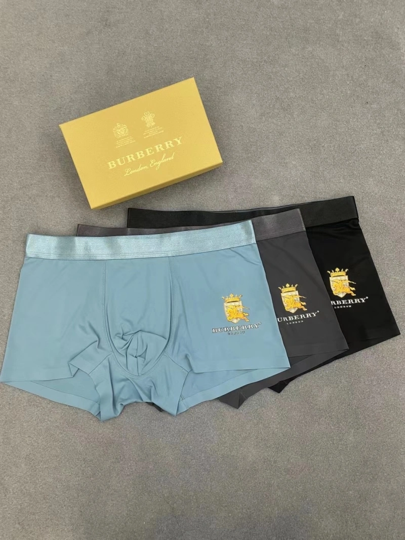 Burberry Underwear Durable 276501