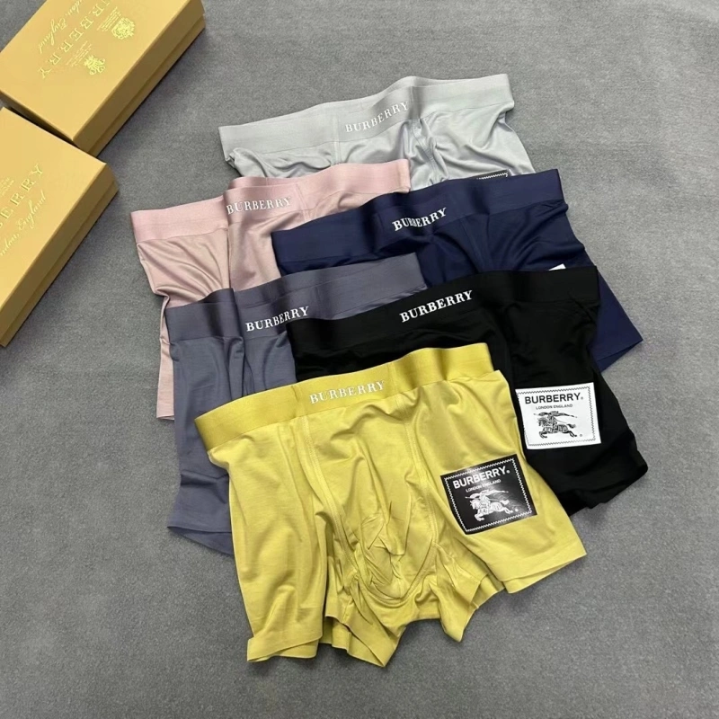 Burberry Underwear StreetReady 276528