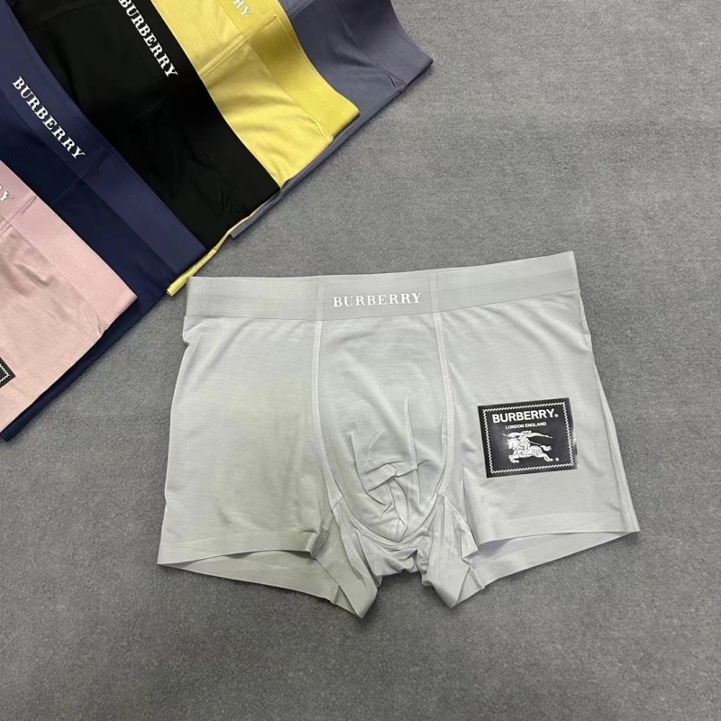Burberry Underwear StreetReady 276528