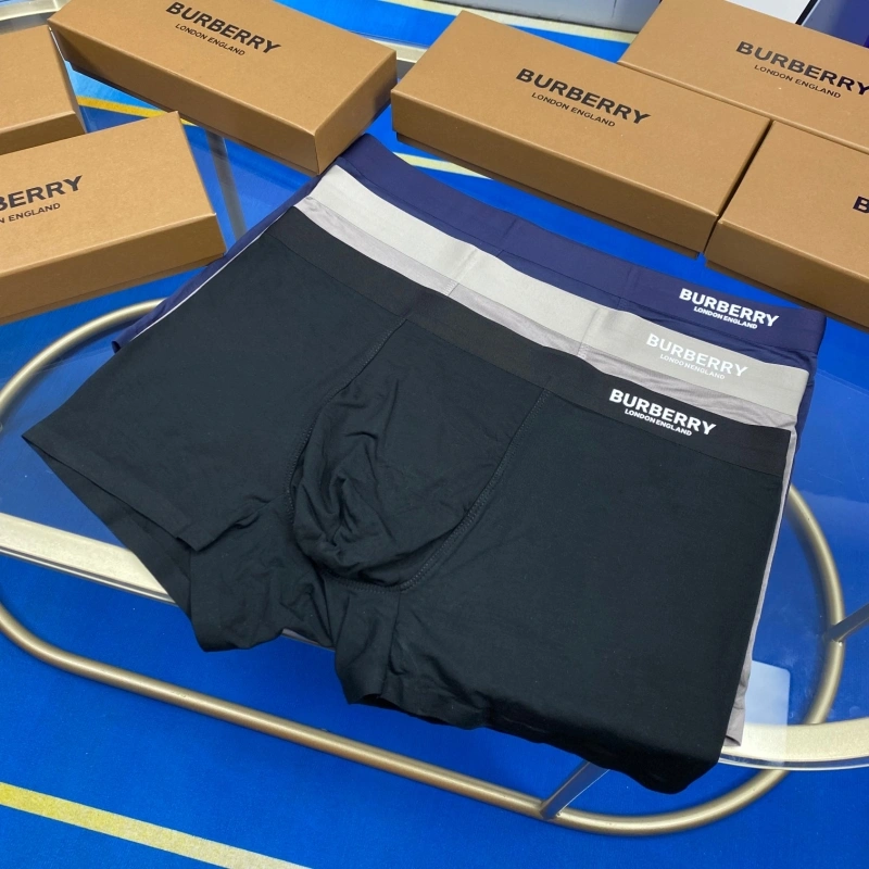 Upgraded Burberry Underwear 276504