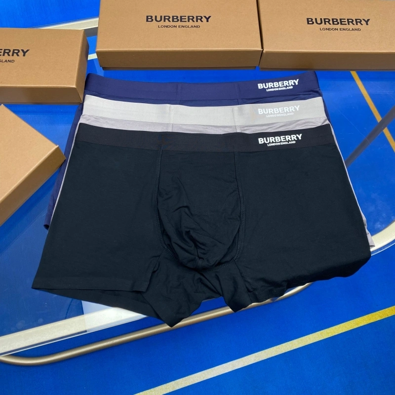 Upgraded Burberry Underwear 276504
