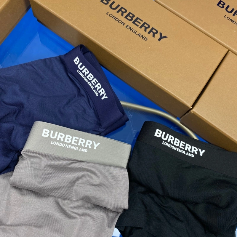 Upgraded Burberry Underwear 276504