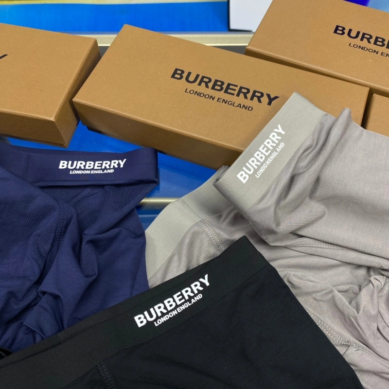 Upgraded Burberry Underwear 276504