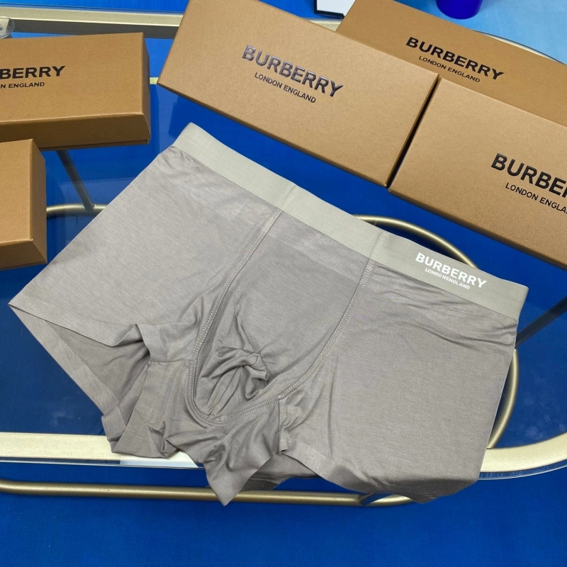 Upgraded Burberry Underwear 276504