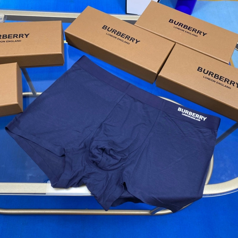Upgraded Burberry Underwear 276504