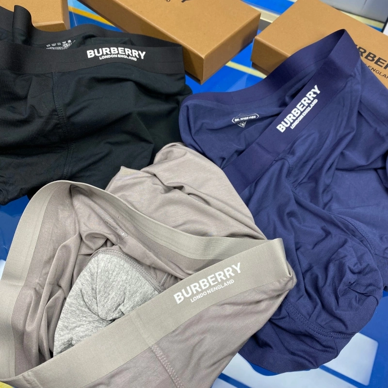 Upgraded Burberry Underwear 276504