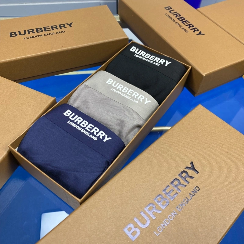 Upgraded Burberry Underwear 276504